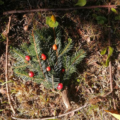 Landart