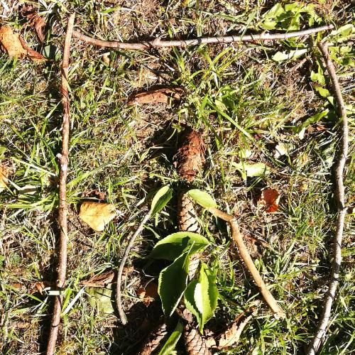 Landart