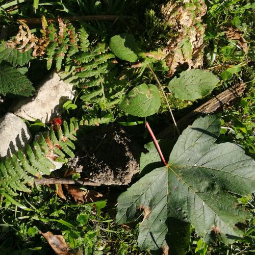 Landart