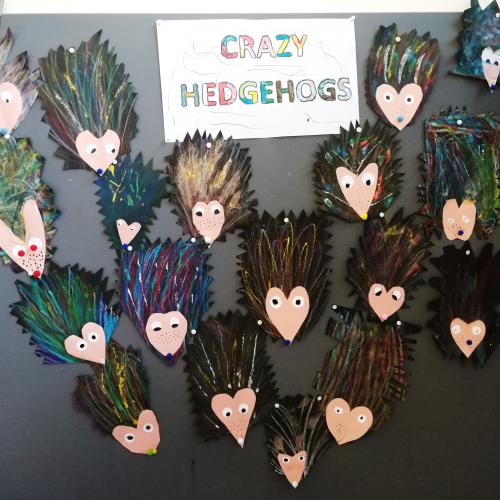 Crazy Hedgehogs