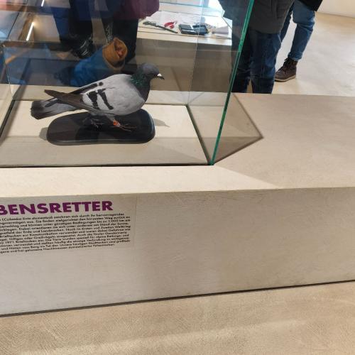 Vogelausstellung
