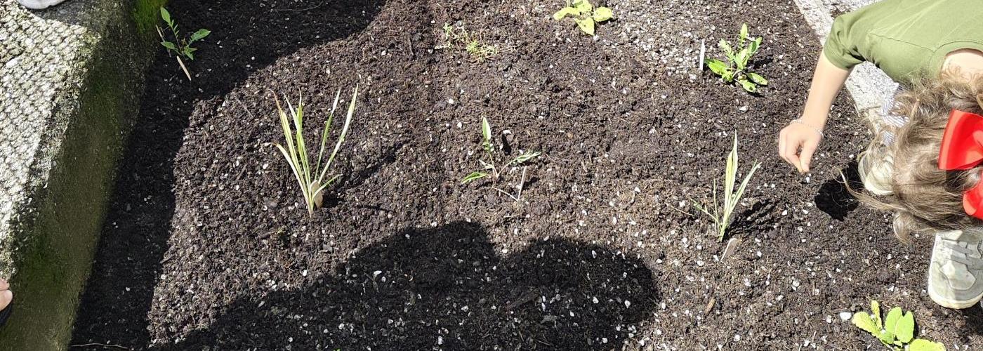 Blumenbeet